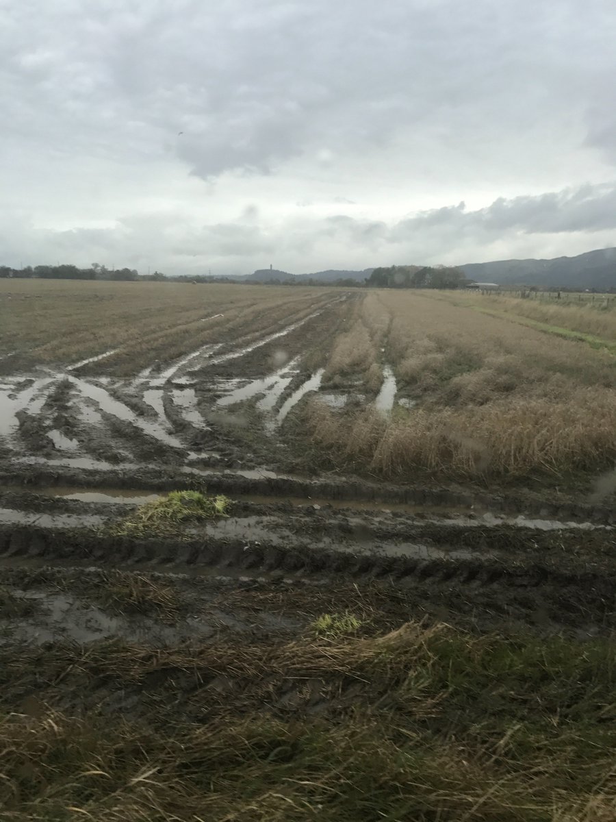 lcc93's tweet photo. Mud mud mud 🙄😡 https://t.co/nNf02PYAFA