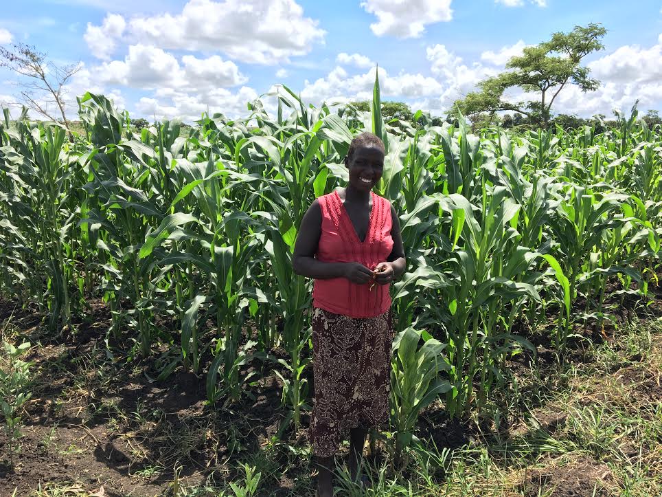 Chris blogs about his work with .@intanglicanaid in #Uganda: goo.gl/JxwjPG #sustainabledevelopment #refugees #church #farming