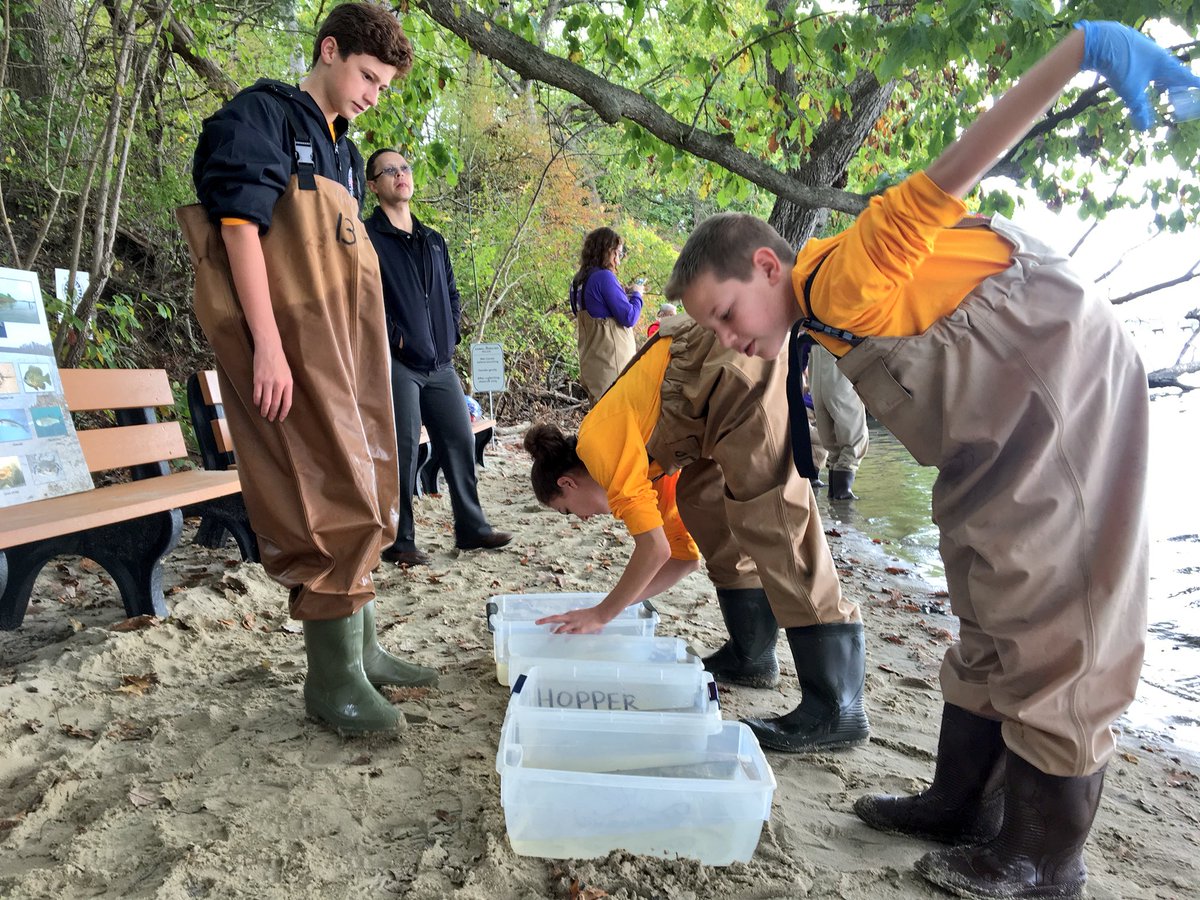Society4Science's tweet photo. Taking a look at what we caught! #brcmMASTERS https://t.co/YMWtCOgEiu