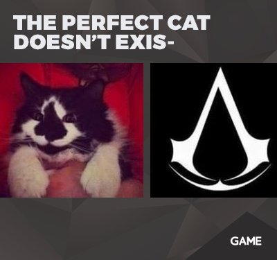 GAMEdigital's tweet photo. To be fair, cats are the most assassin-like pet you can have. https://t.co/0psz1wT9MV