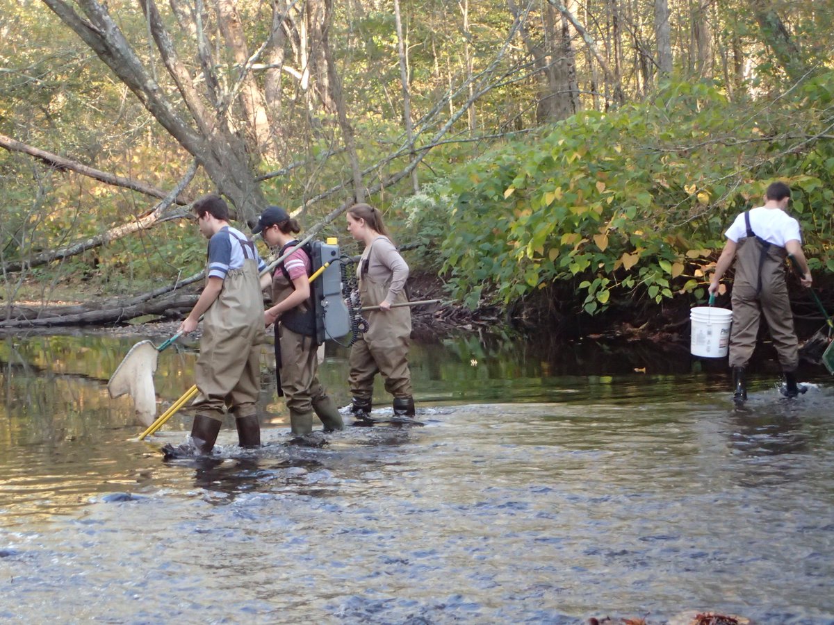 JRichardson_44's tweet photo. A beautiful Oct day for our Freshwater hatchery & electroshock sampling lab. Students tussled w/ the tradeoffs of modern fisheries managemnt https://t.co/4Rts3we3Lz