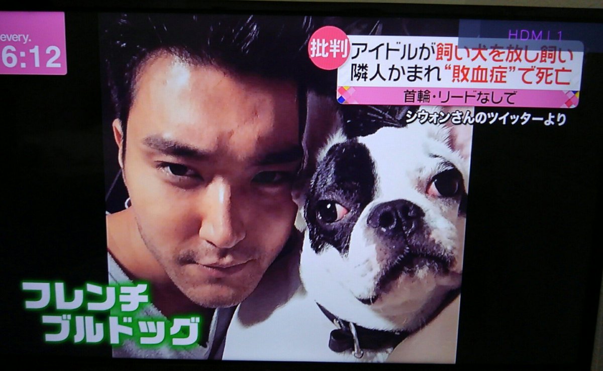 Uyappi シウォンの犬のニュース 日テレevery で放送してた 明日からファンミなのにね