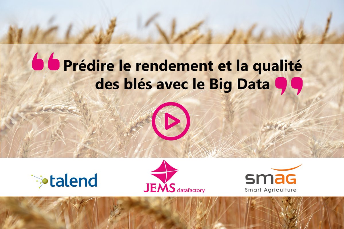 jemsgroup's tweet photo. [Vidéo] Prédire le rendement et la qualité des blés avec le #BigData !
Un retour d'expérience de @SMAG_SmartAgri sur un projet innovant #Datacrop
#JEMSdatafactory #BigData  #Agrilculture 
https://t.co/Q5abxfUEJQ https://t.co/cmNSPf1jbE