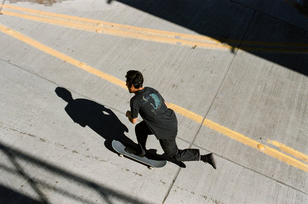 Sammy Montano in the Roar Tee.
Part of the Fall 17 +/+ Collection 
#GlobeBrand #plusplus