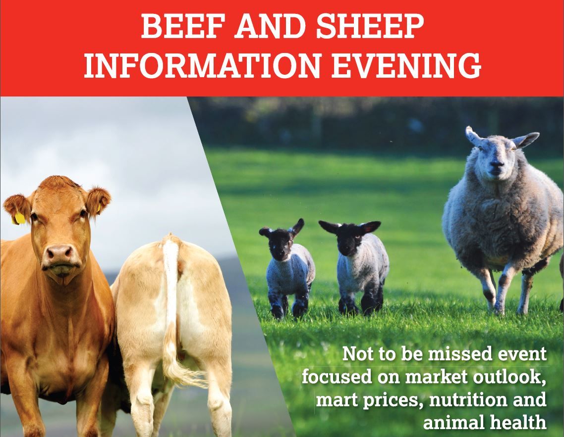TirlanFarmLife's tweet photo. Beef & Sheep info evening, Speakers #darrencarthy @farmersjournal @tommythevet #martinryan Thomastown, 7pm 26th https://t.co/V1qNmpy6am https://t.co/ON6nIH0Ut6