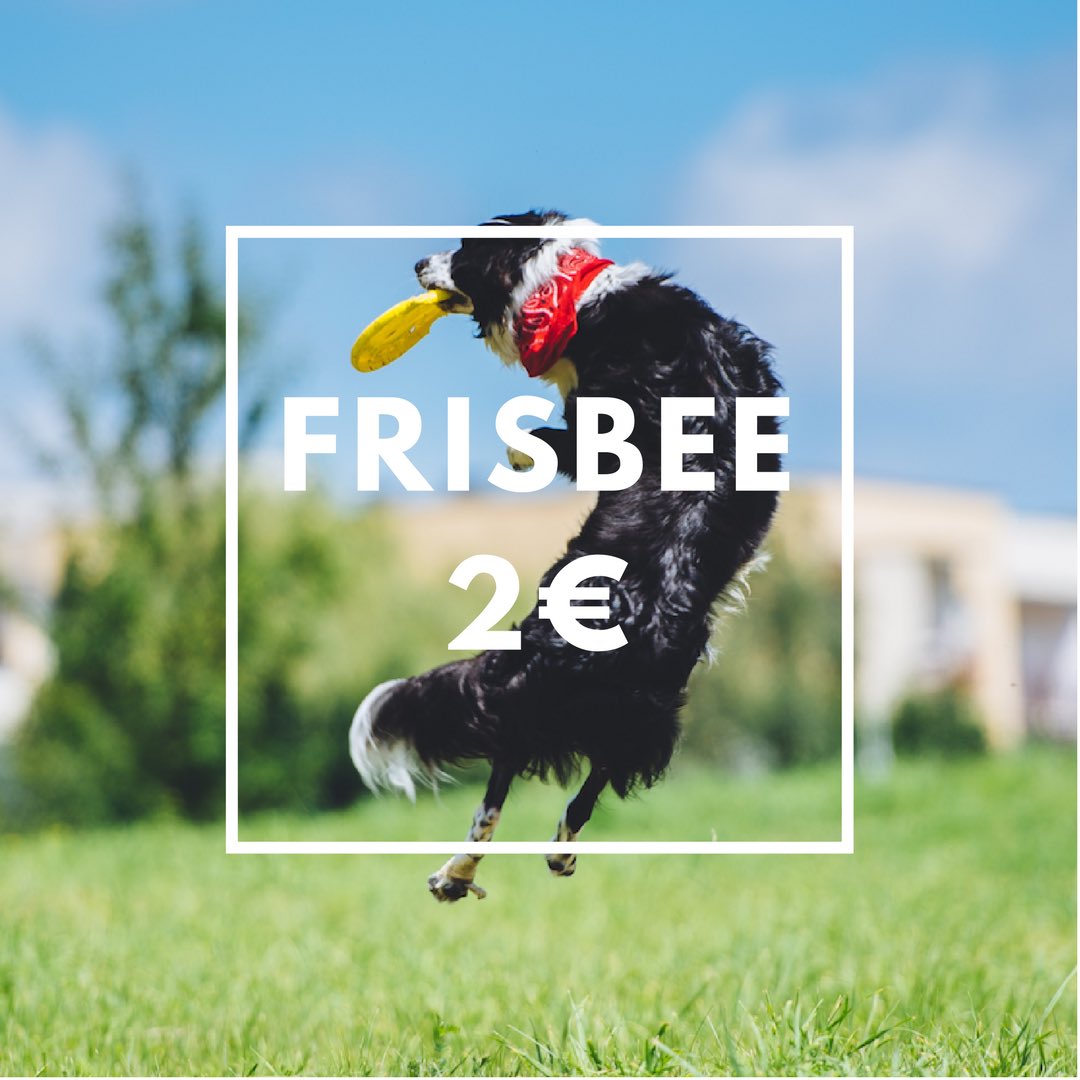 zarpazos's tweet photo. Disc Dog o Dog Frisbee, un entrenamiento para que disfrutes con tu perro https://t.co/MR5fLVNg0P https://t.co/DyBKak31R6