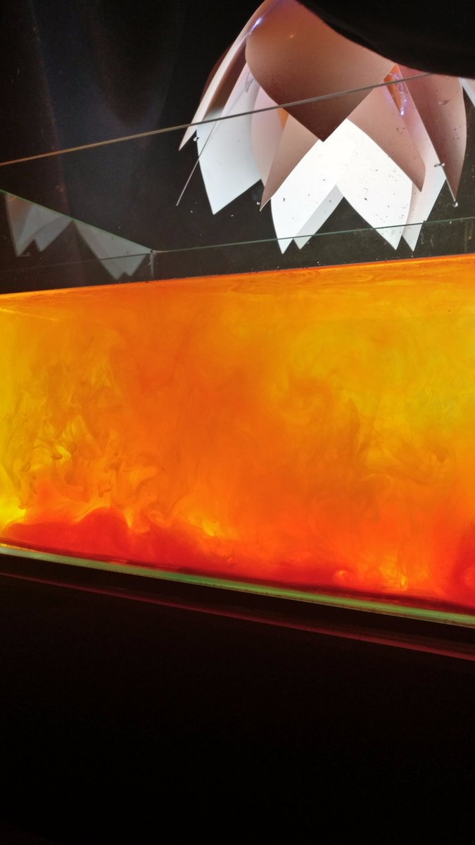 CreationGulf's tweet image. #TeamCreation trains 3 student teams to use #LightingControls at #Lightication, the student event of the #LightME whose theme was #Holi.