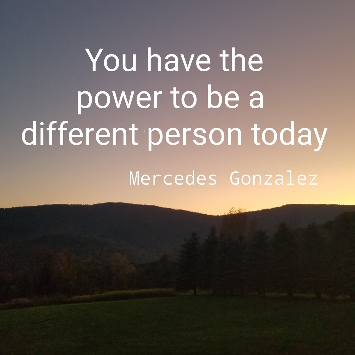 MercedesGPC tweet picture