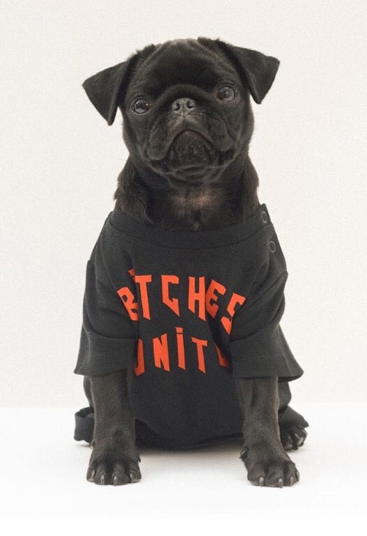 Go cruelty free this Halloween, do it for Boris. <a href="/REEKPerfume/">REEK Perfume</a> #damnrebelbitches #CrueltyFree #MondayMotivation