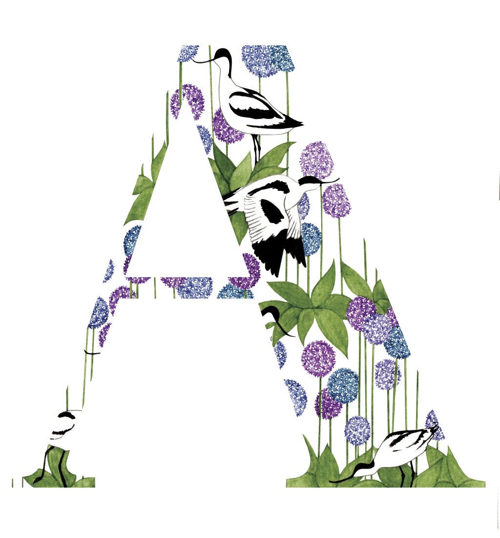 BeeIllustrated's tweet photo. A Countryside alphabet https://t.co/eXrb5Qgk75 https://t.co/t9oYgXi2gI