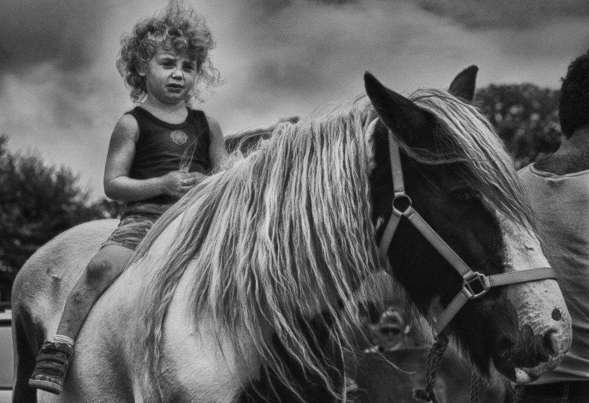 MercierBooks's tweet photo. A Curly Boy as seen in Fair Faces, Images From A Disappearing Ireland #FairFaces @johnhall_john https://t.co/v3sbZliF2V https://t.co/FMZmpQnlnx