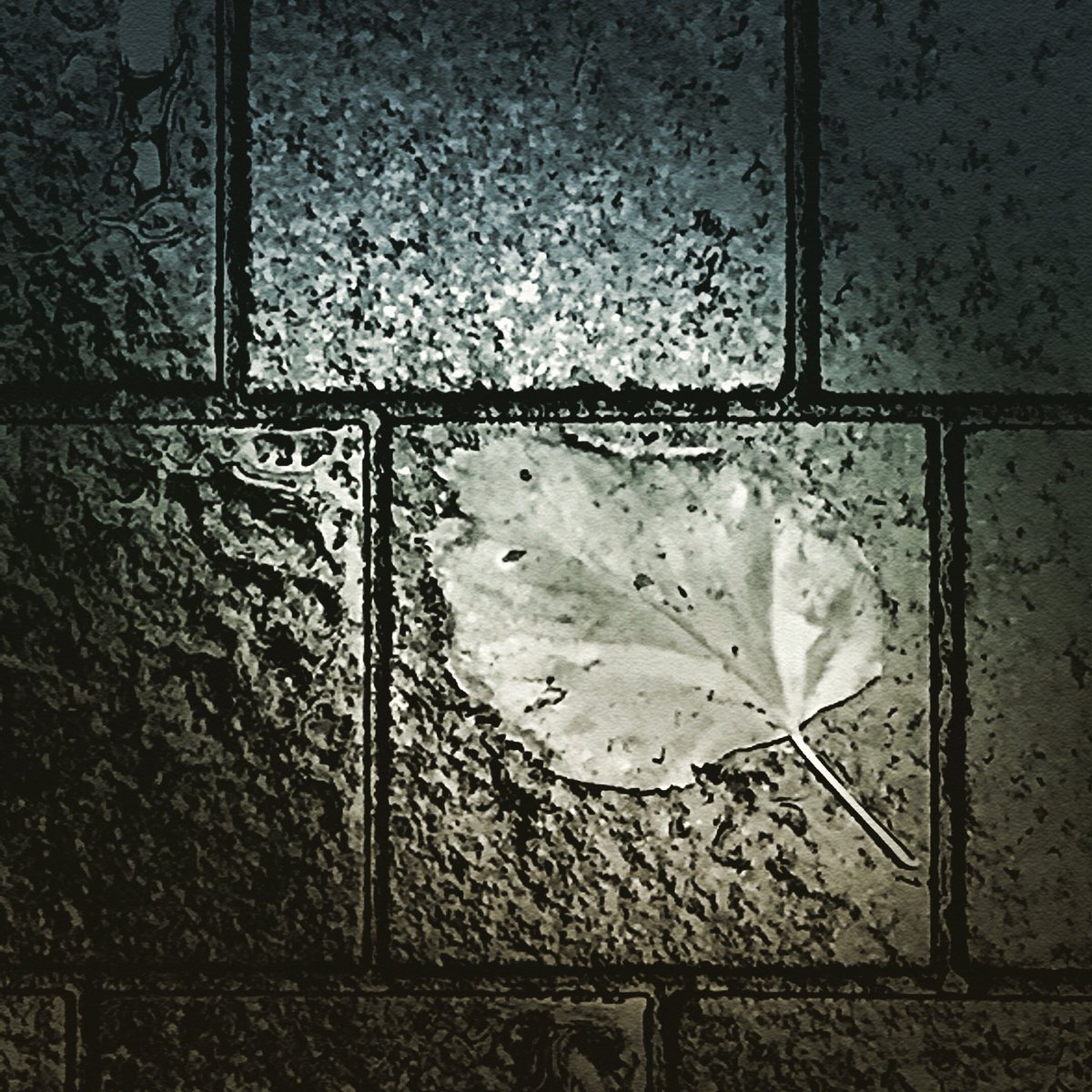 Autumn leaves - gently falling on roads and streets