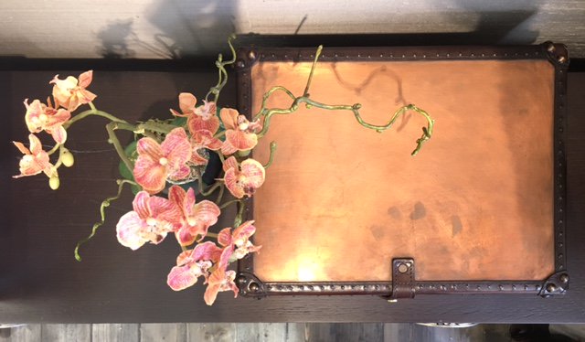 NYLA_ldn's tweet photo. #NYLAantiques #NYLAvintage Simple touches can add buckets of character to your home. #Vintage #copper #chest https://t.co/S205xCksWH https://t.co/wNk5vywbt0