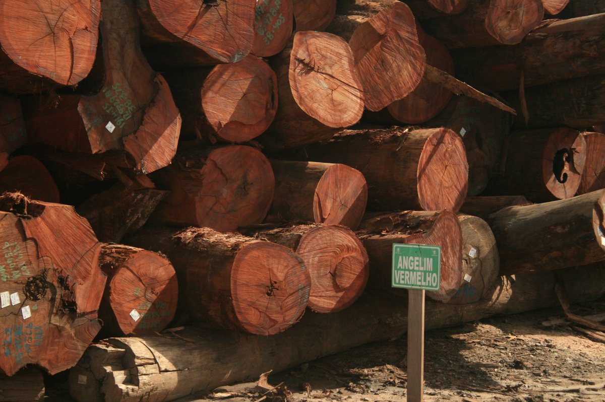 FilipeEco's tweet image. Our paper in @ELSenviron: Even low-intensity logging impacts #tropicalforest #biodiversity and #ecosystemfunctioning is.gd/uST9SK