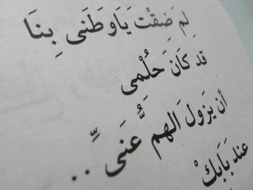 diala99mo tweet picture