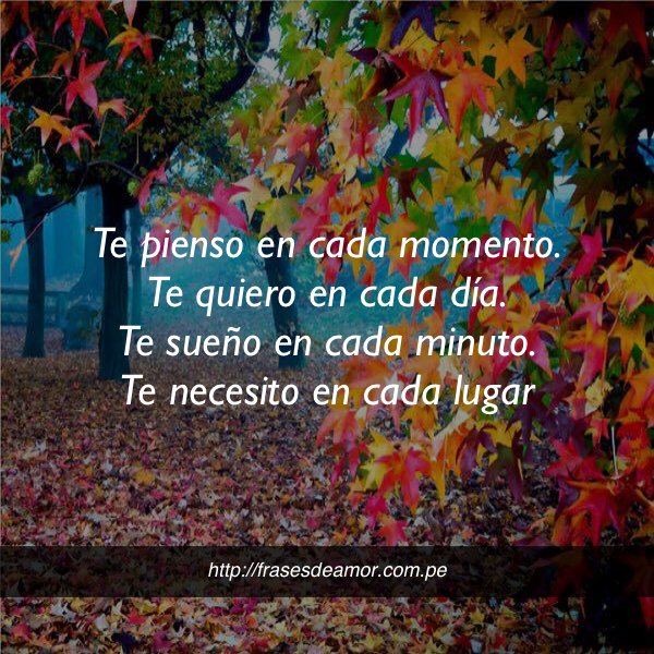 frasesDamorr2's tweet photo. Te pienso en cada momento #frasesdeamor https://t.co/AtWIH6O2wH https://t.co/ntdXnI3wB6