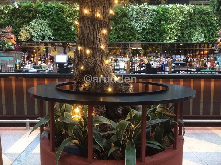 OutsideOptions's tweet image. A recently completed plant fit-out at Opium bar and restaurant.
outsideoptions.ie