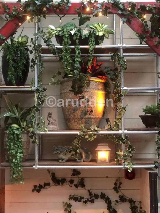 OutsideOptions's tweet image. A recently completed plant fit-out at Opium bar and restaurant.
outsideoptions.ie