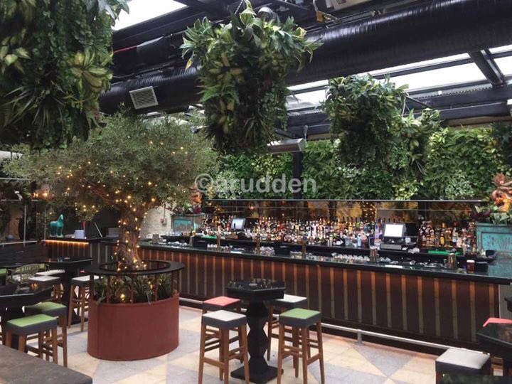 OutsideOptions's tweet image. A recently completed plant fit-out at Opium bar and restaurant.
outsideoptions.ie