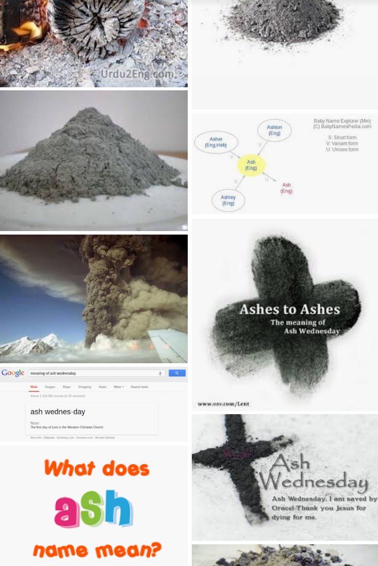 須藤玲司 けっこう毛だらけ ネコ灰だらけ っていうフーテンの寅さんが使う言い回しの意味がさっぱりわからなくて けっこう毛深いアッシュ リンクス というビジュアルイメージで理解してるのですが こんどノイタミナでアニメ化する作品って