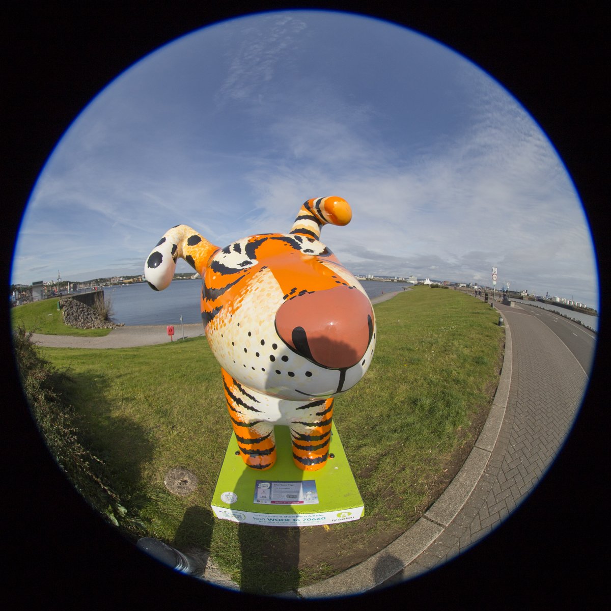 thatsnowtiger tweet media