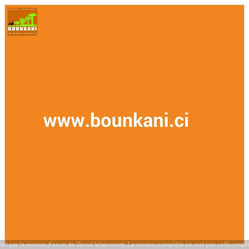 HienPhilippe2's tweet photo. La plateforme numérique de la région du Bounkani officiellement disponible depuis le 20 octobre 2017. Venez nous découvrir. https://t.co/S6WzlQVnFt