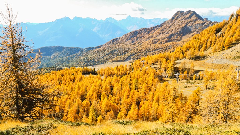GTKappa's tweet photo. L'autunno è una stagione stupenda anche per i suoi magnifici colori! Qui siamo a Torgnon, Valle d'Aosta 🍁🍂 @TorgnonTurismo https://t.co/Vol9vHGi61