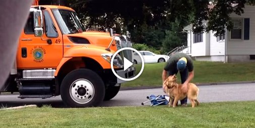 #Love  Il filme en caméra cachée les retrouvailles entre son chien et cet éboueur 💕 ☛ bit.ly/2hYCv9L
