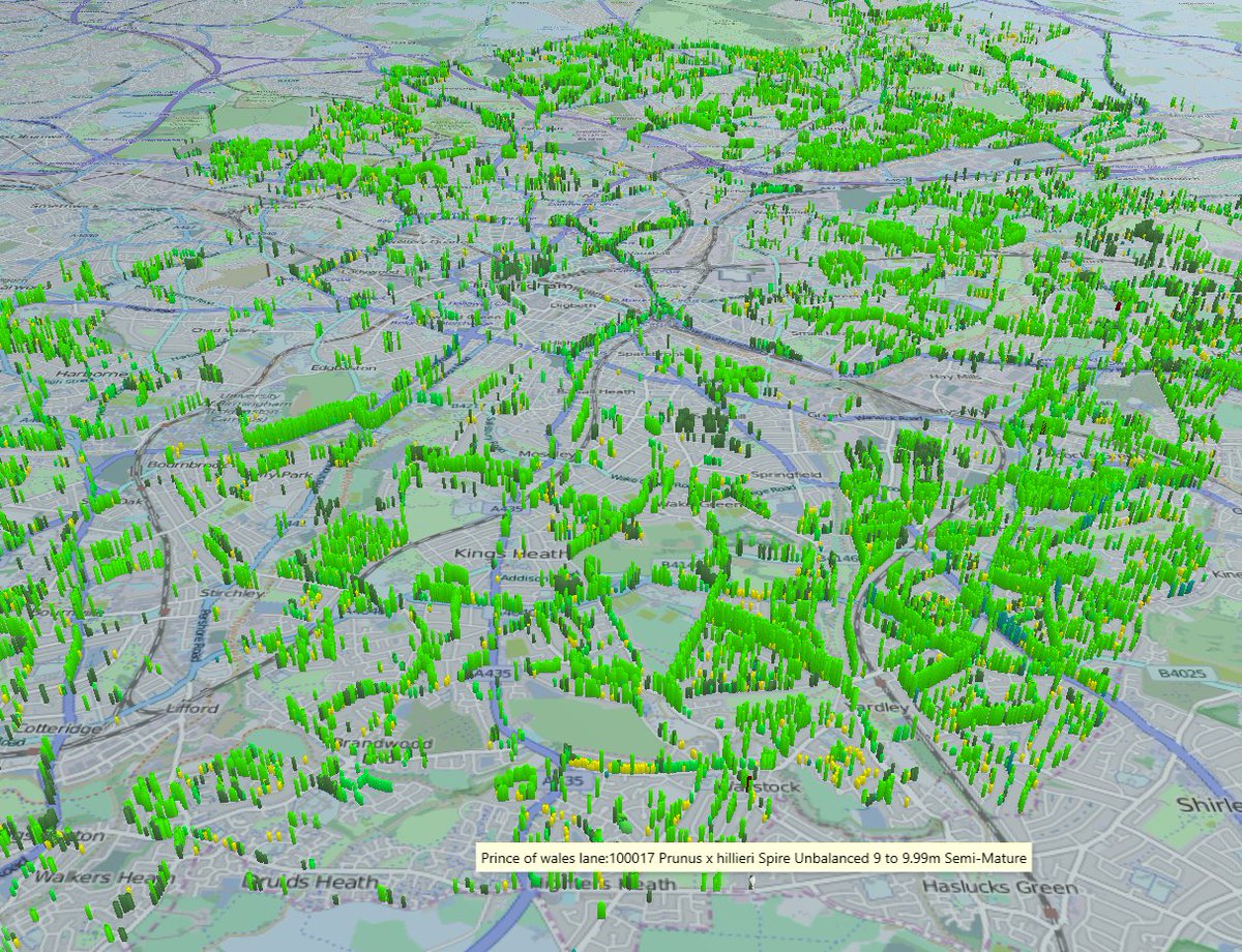 Just Blogged: Birmingham Trees from WMDDS data - click for post &amp; #3D #VR fly through ow.ly/jGcK30g3VwR #dataviz #smartcity