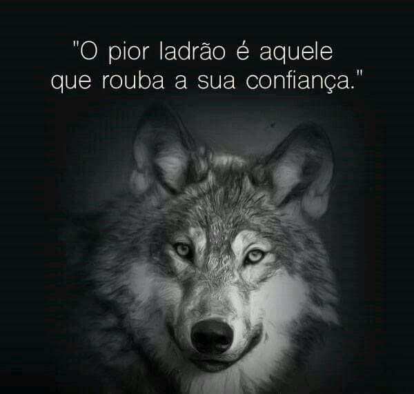 nagathesilva (@nonatocardosod2) on Twitter photo 