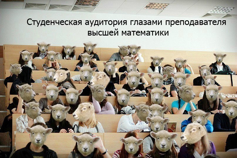 Днем нотариуса, картинки с юмором про студентов
