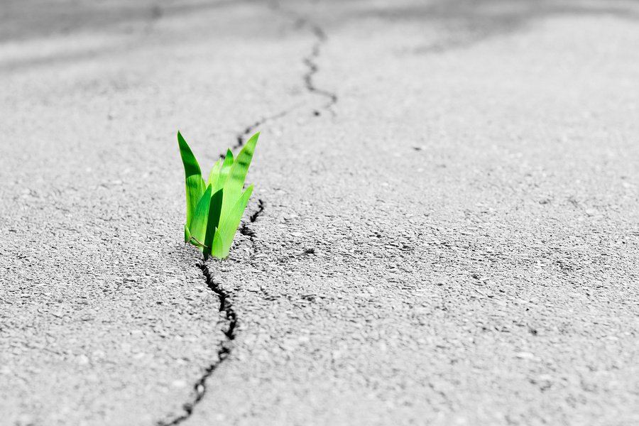 UASInc's tweet photo. Nothing is impossible, the word itself says "I'm possible". - Audrey Hepburn #MondayMorningMotivation #teamUAS #softwarethatworks https://t.co/RwnWGDQKjg