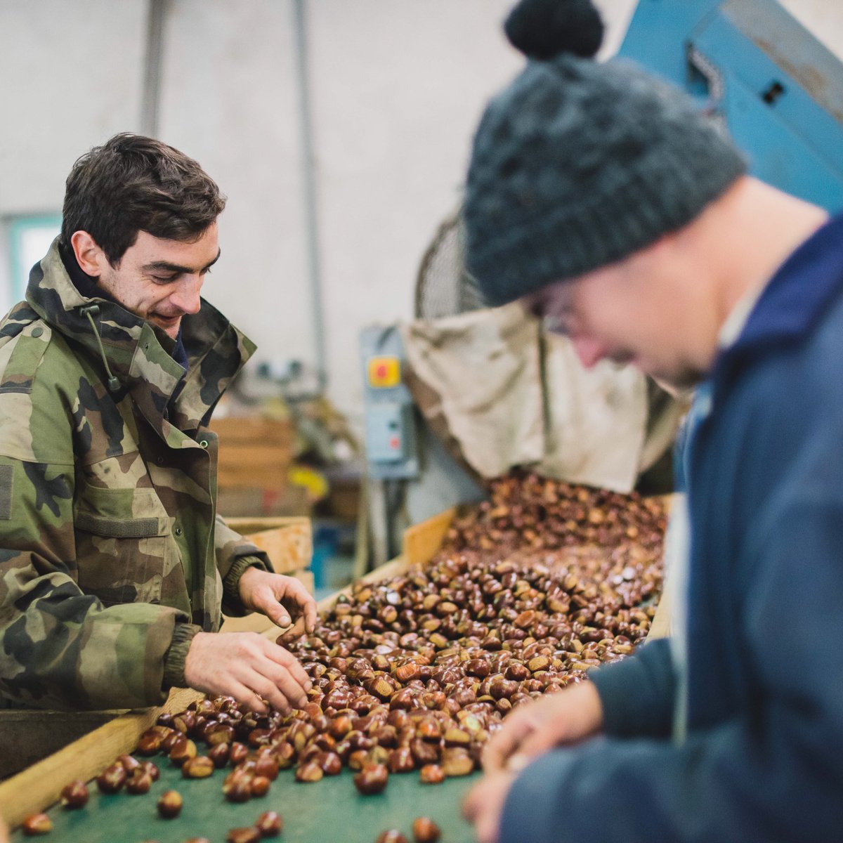 FNPFExpo's tweet photo. Lavage de châtaignes #expodigitale "Derrière le fruit, le savoir-faire des Hommes" 🍇🍏🍋🍓 de la @FNPFruits  https://t.co/XNckwL5BbD https://t.co/PTsHDe9xjF