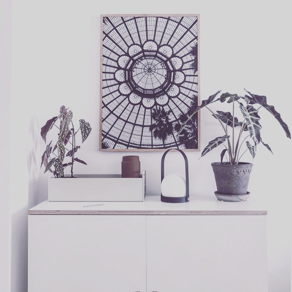thisisshowroom's tweet photo. #regram - so pleased to welcome @sarah_cocolapine to Showroom. Hop over to https://t.co/qnp5xr3yTk for the full collection of stunning p… https://t.co/cSvXj6uj0A