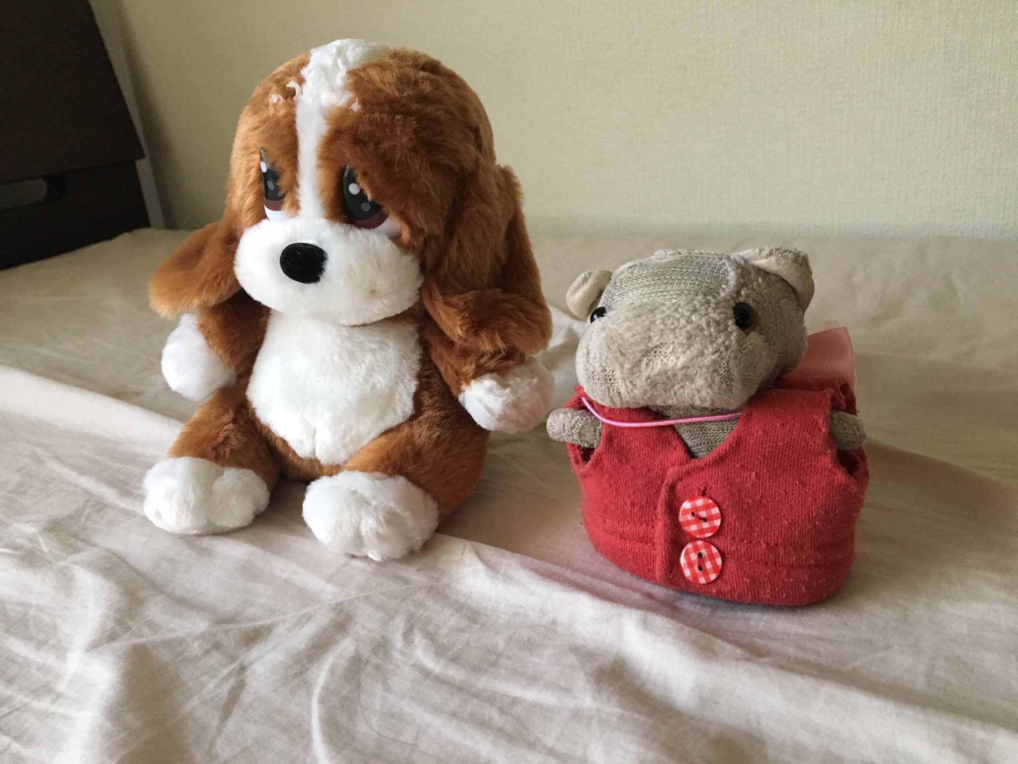 Sad Sam いぬわんたん ぬいぐるみ
