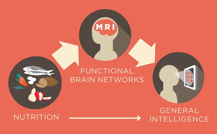 iVivekMisra's tweet photo. Nutrition has benefits for #brain  network organization https://t.co/XSWciKrBtY #eatright https://t.co/5Uuj5tWyTx