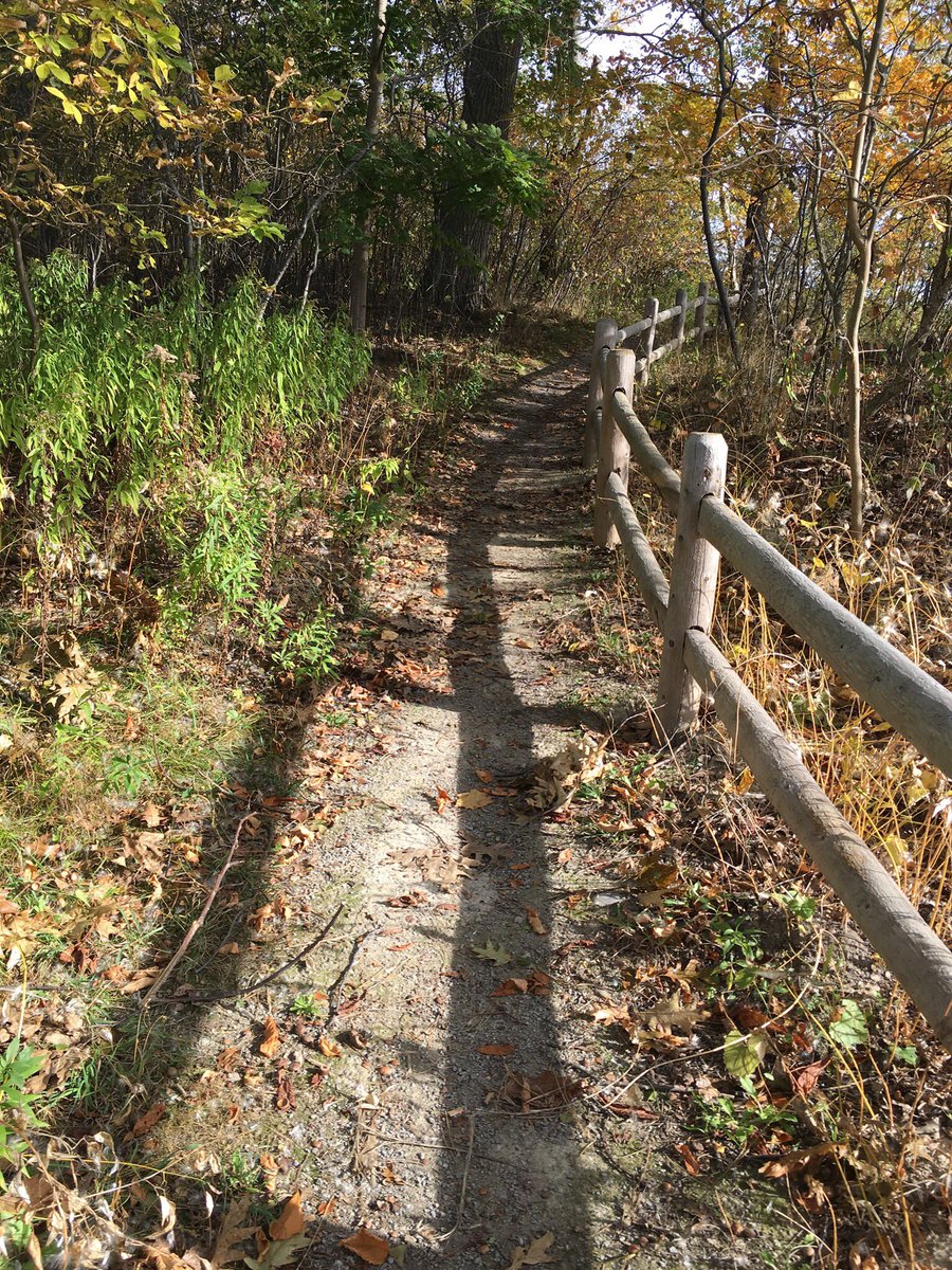 vlmulya64's tweet photo. Beautiful weather this past weekend for a #trailrun enjoyed the #fallcolours have a great week! #running #run #getoutside #explore https://t.co/Y5hYcanuOl
