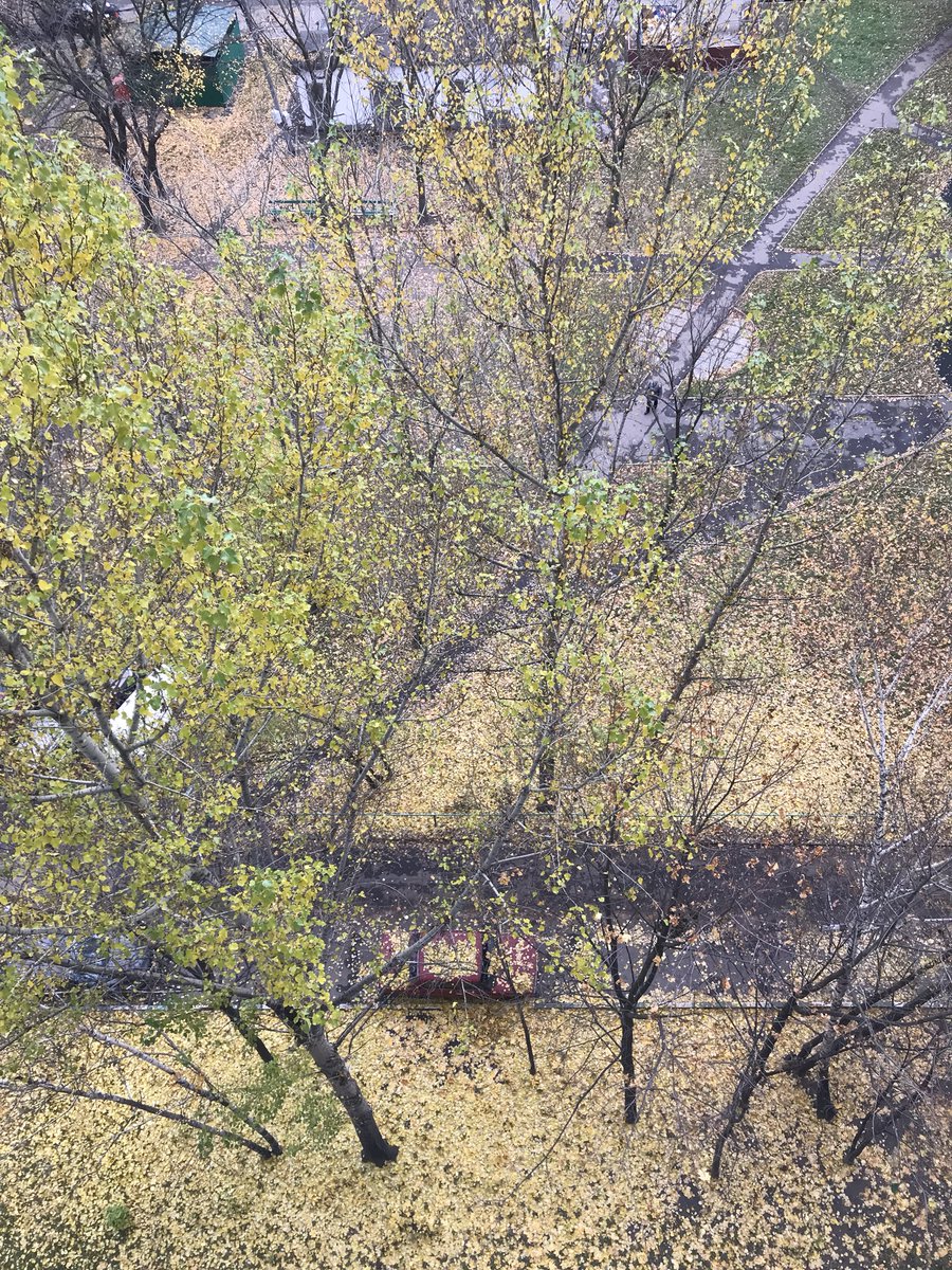 adegtyarev's tweet photo. Can you see us? #1World1Orbit https://t.co/qDXKJRfoVe