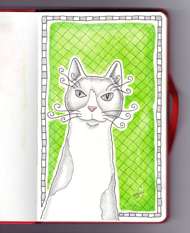 AlexievG's tweet photo. Una gata en mi libreta https://t.co/UFHPWkOuox