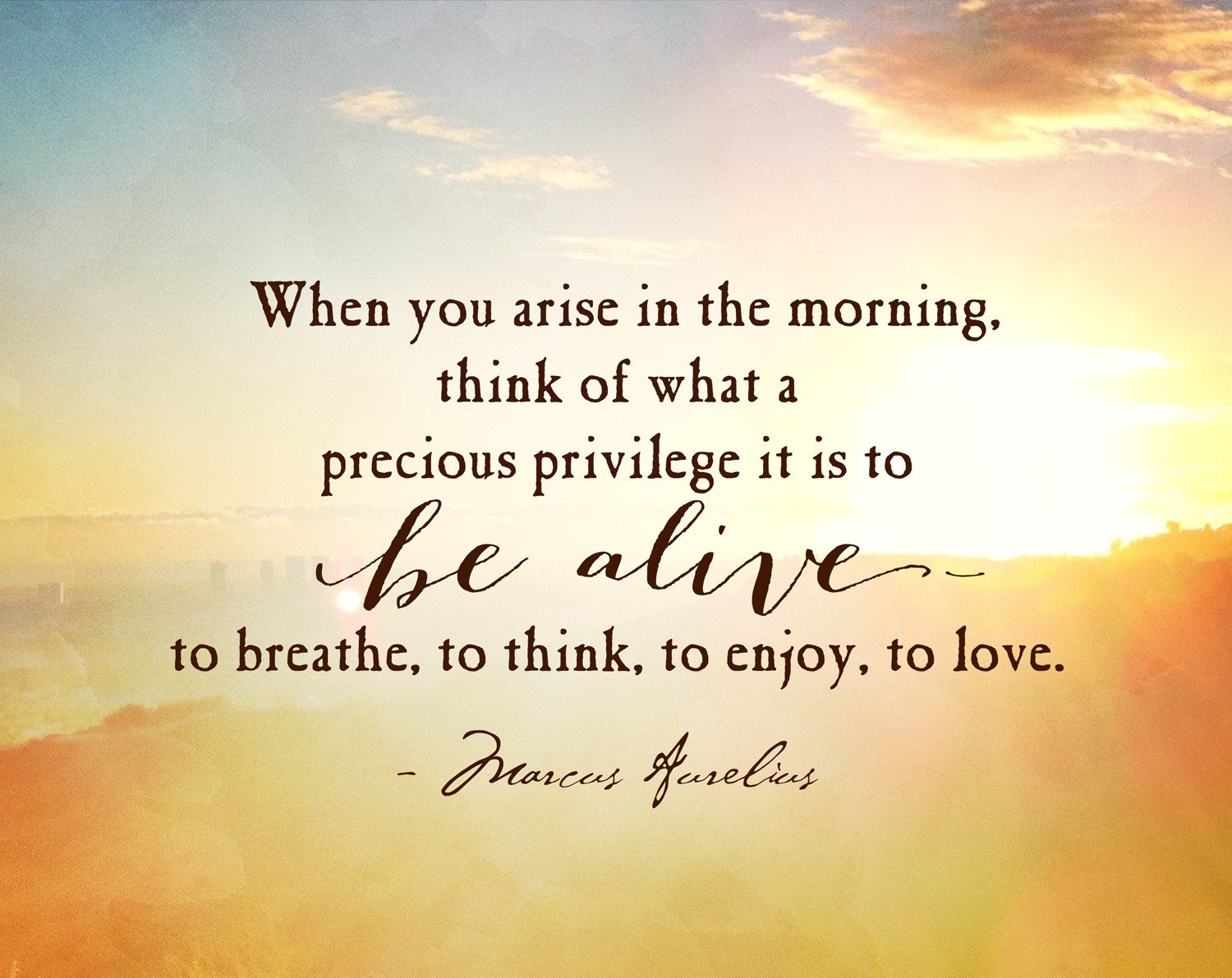 Sunshine Health Shop on Twitter: "Monday: A new day, a new week, a new sunrise, a new blessing