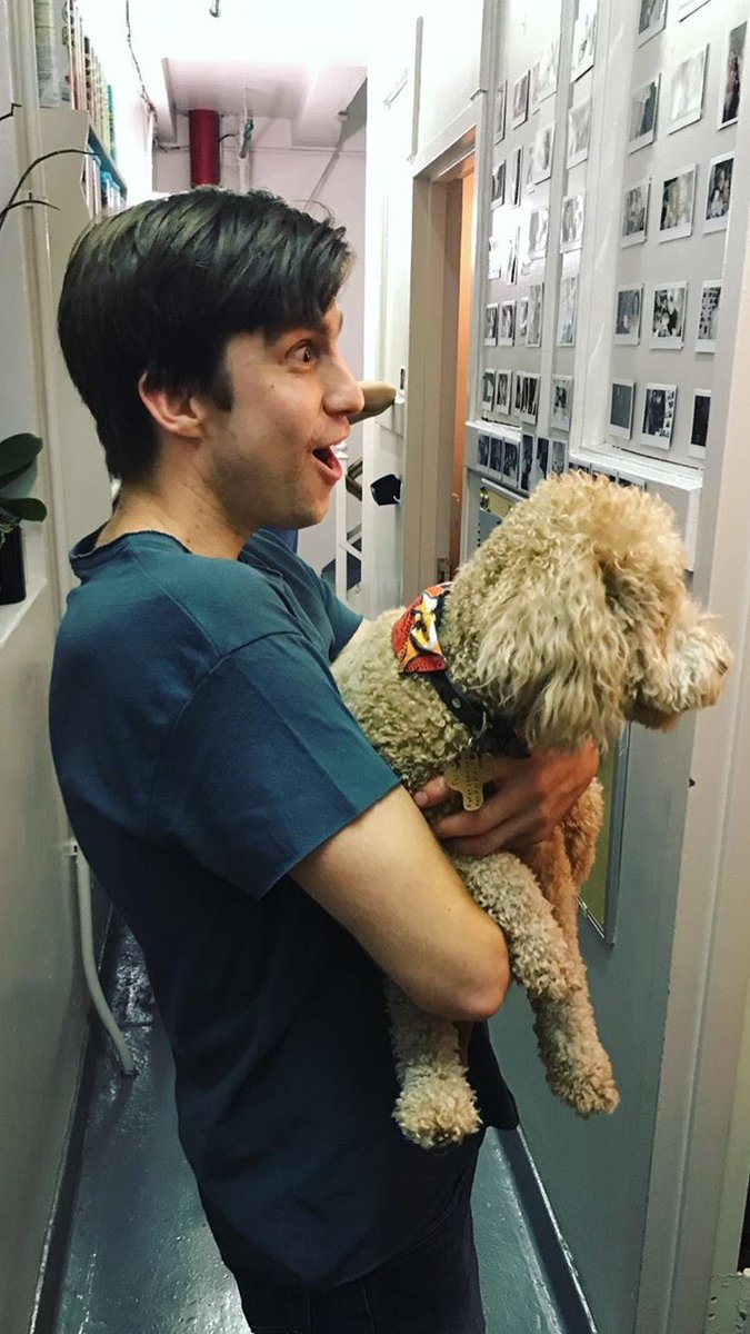 maxcIayton's tweet photo. When dogs came to visit the Shubert Theatre. https://t.co/BibZI3WEcB