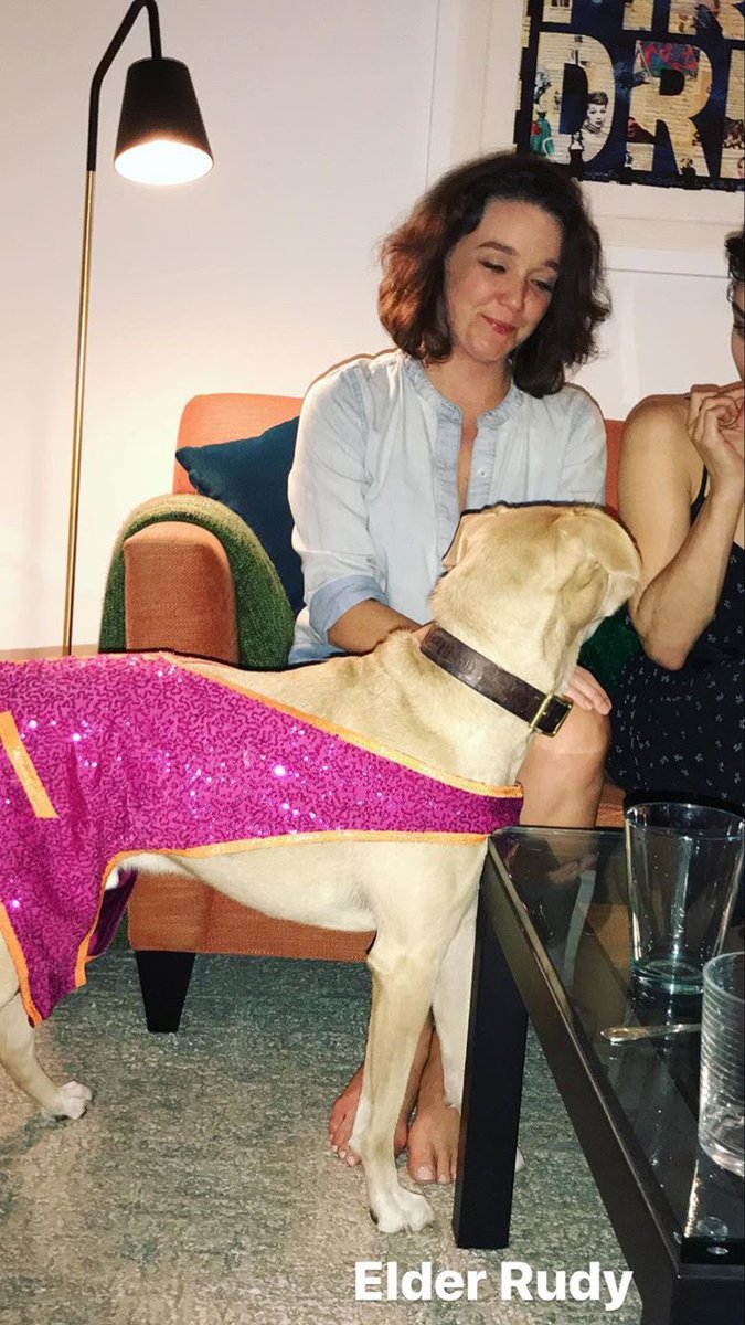 maxcIayton's tweet photo. When dogs came to visit the Shubert Theatre. https://t.co/BibZI3WEcB