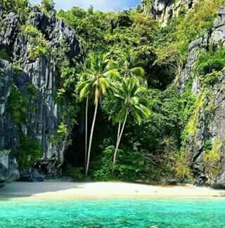 #nature.