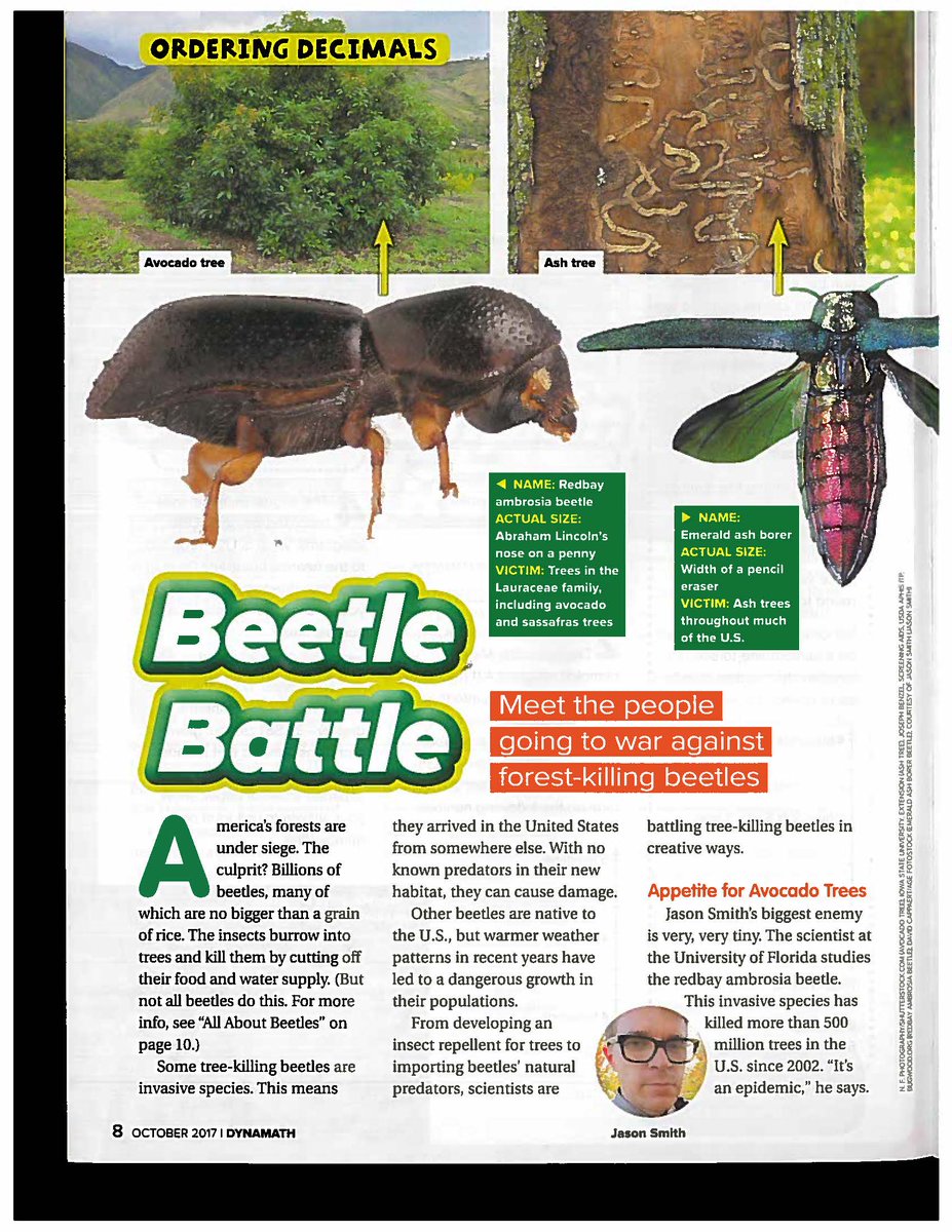 ProForestUF's tweet photo. Learning Math &amp; #ForestHealth. Kudos @ForestPathology for this amazing contribution to #Scholastic DynaMath! @SFRC_UF @BackyardBeetles https://t.co/kmgpNg2Jaq