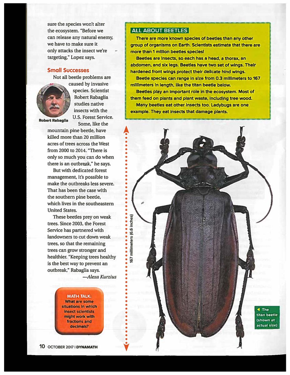 ProForestUF's tweet photo. Learning Math &amp; #ForestHealth. Kudos @ForestPathology for this amazing contribution to #Scholastic DynaMath! @SFRC_UF @BackyardBeetles https://t.co/kmgpNg2Jaq