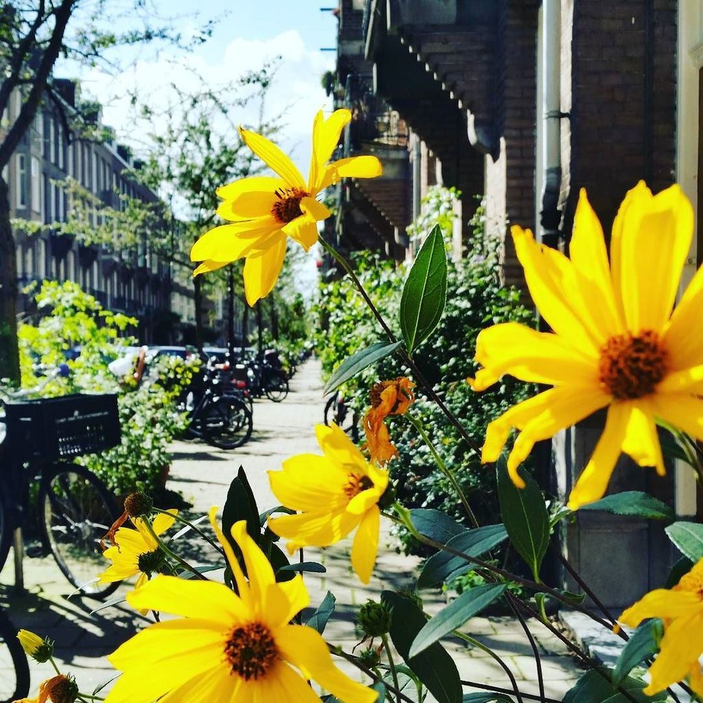 QueerlyNomadic's tweet photo. When the sun does come out here, it's really beautiful! Fortunately although there is a lot of rain and gloom, we'… https://t.co/L4I5upbiSA https://t.co/Pxkor8Btu1