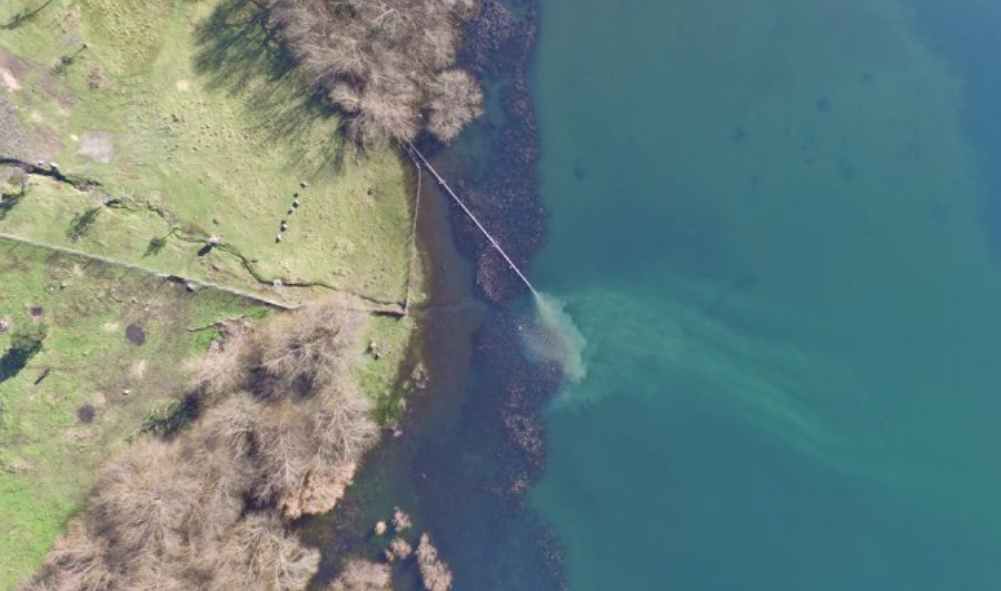 ONG_CHS's tweet image. Tercer Tribunal Ambiental admitió a trámite demanda por daño medioambiental contra Essal por descargas de ... - chilesustentable.net/tercer-tribuna…