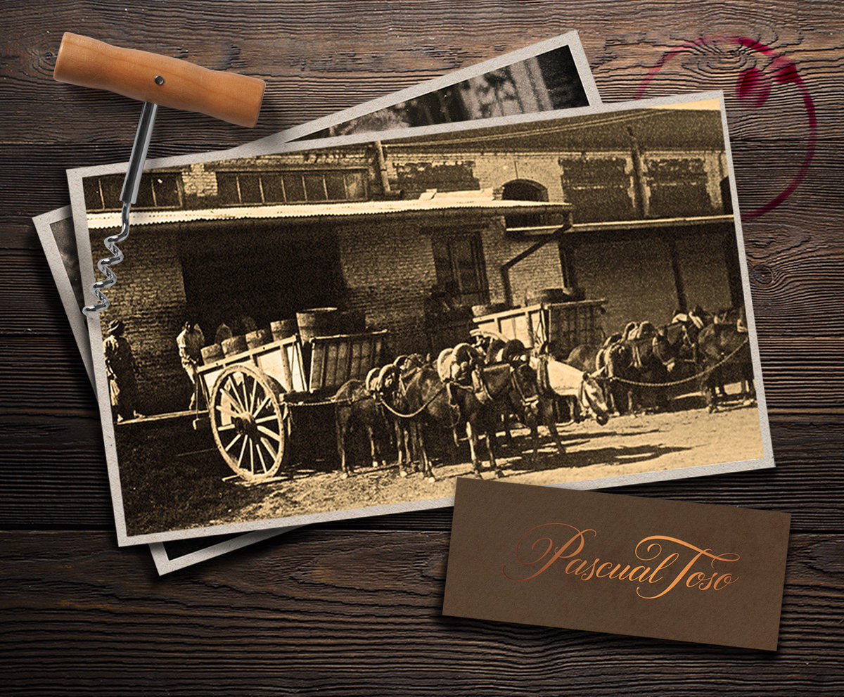 Pascual Toso, creating great moments from 1890. #pascualtoso #wearebarrancas #history #winelovers
