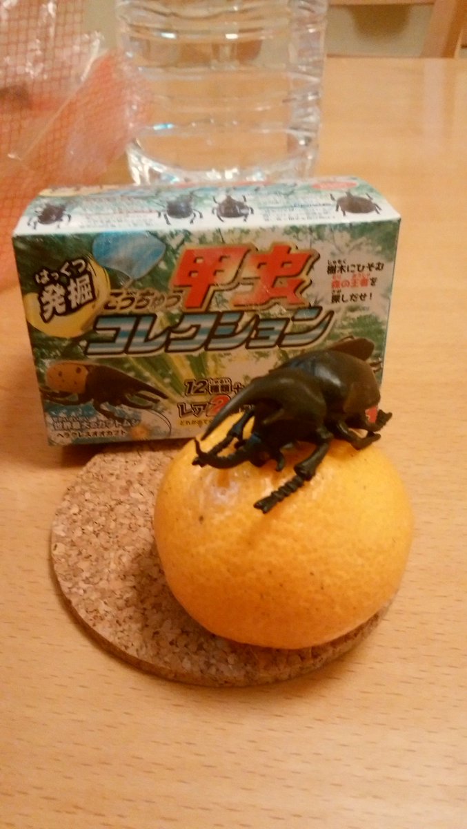 オカピ Okapia19 Twitter