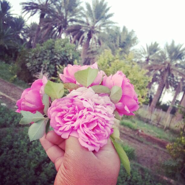 2__BS's tweet photo. ➰➰➰🖊

 〽️🖍
الحب بلوى والغلا شي مقســوم
والبعد طعنه يسلم اللي طعنهـا

محروز يا أنا😅صح لساني😂 https://t.co/FATkpL9Wml